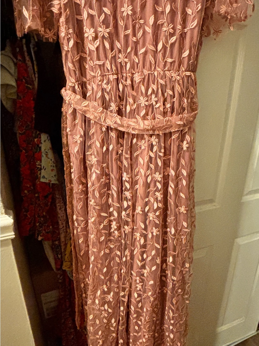 Baltic Born Dusty Rose Embroidered Floral Maxi Dress - Picture 8 of 10